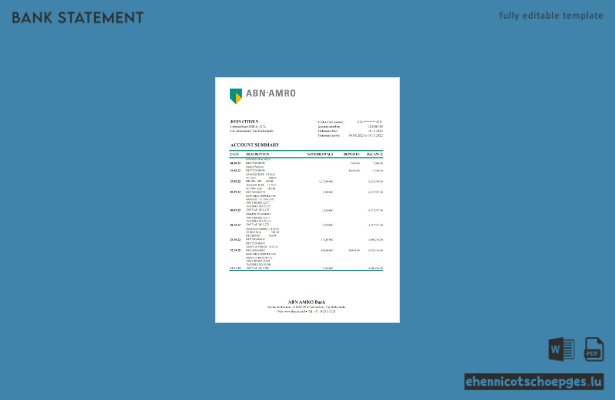 Niederländische ABN AMRO Kontoauszug Excel-Beispielvorschau